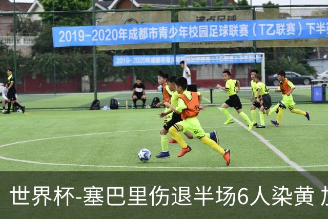 世界杯-塞巴里伤退半场6人染黄 加拿大半场0-0摩洛哥