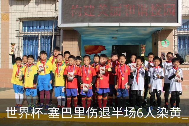 世界杯-塞巴里伤退半场6人染黄 加拿大半场0-0摩洛哥
